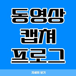 동영상 캡쳐 프로그