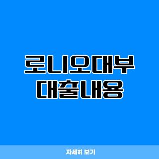로니오대부 대출내용